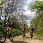VTT04_26_DxO